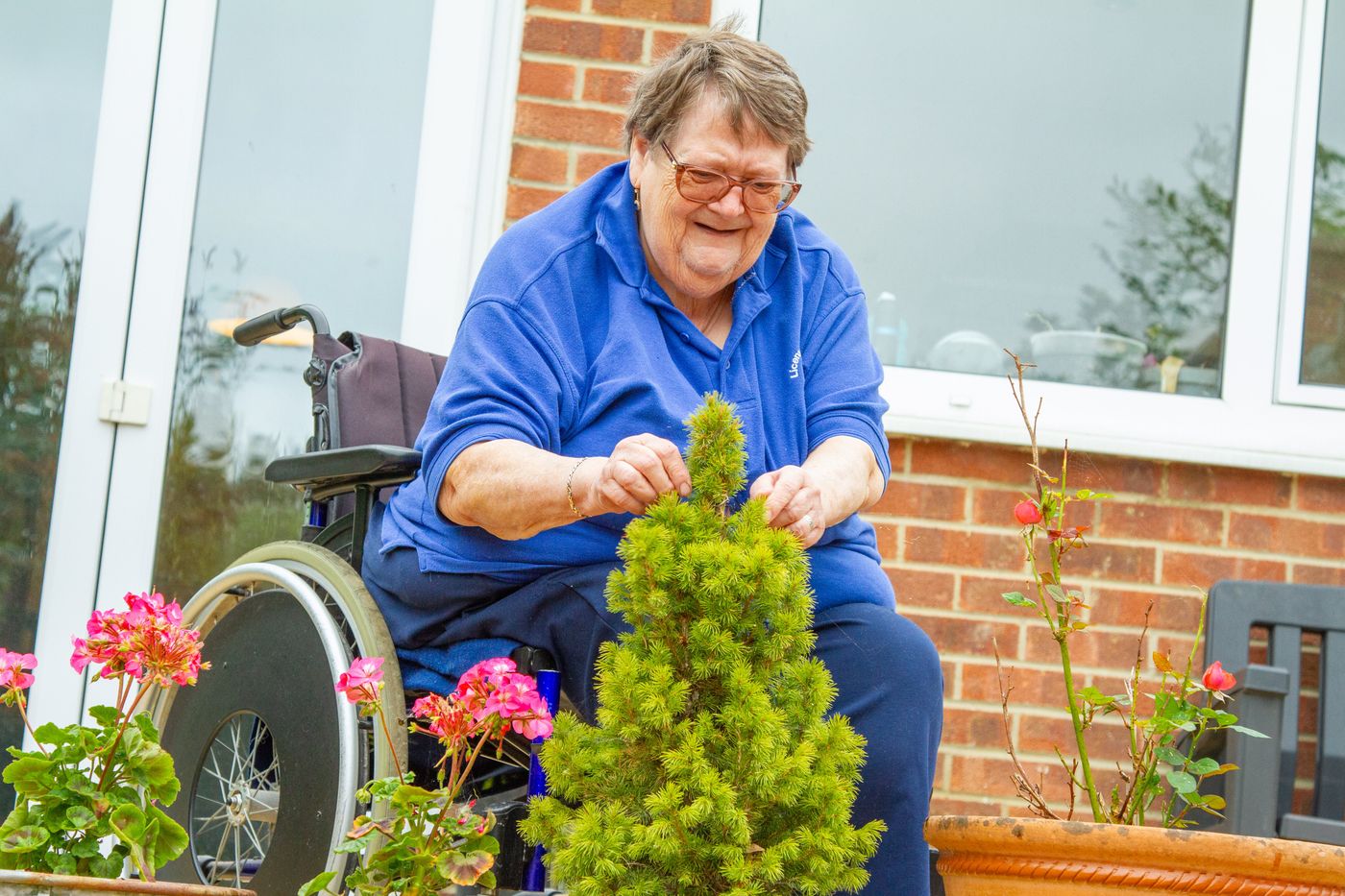 An older woman tending garden plants from her wheelchair